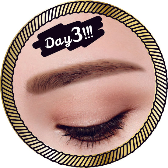 2Wayアイブロウリキッドティント&パウダー