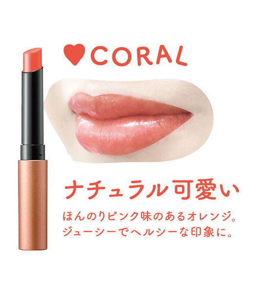 ティントリップ